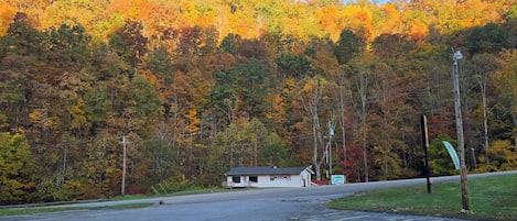 A parking lot with a building in the distance, surrounded by a forest with autumn foliage.