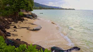 A beach with clear water, rocks, and a tree. - Modern Oceanfront North Shore House, w/ AC & volleyball net, near Kualoa Ranch (Hauula)