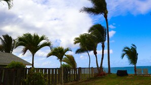 A wooden fence, palm trees, and a view of the ocean. - Modern Oceanfront North Shore House, w/ AC & volleyball net, near Kualoa Ranch (Hauula)