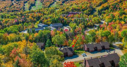 Ski-in/out condo with mountain view, deck, fast WiFi & fireplace - near golf