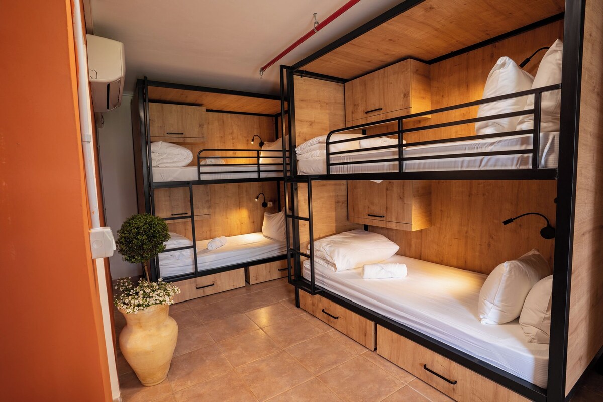 A bunk room with wooden bunk beds, a small bedside table, and a potted plant.