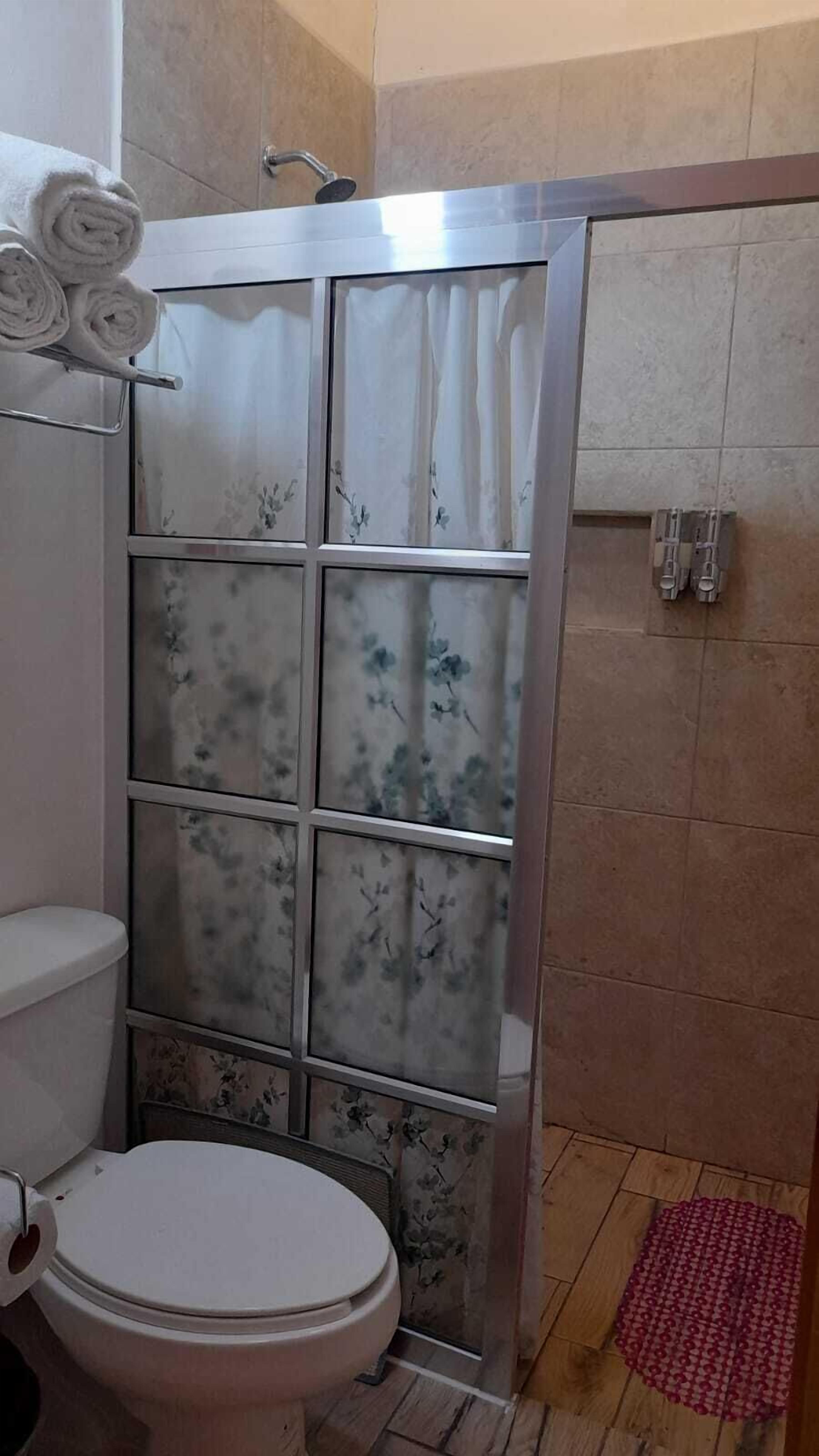 A bathroom with a toilet, a shower enclosure with frosted glass panels, and a red mat on the floor.