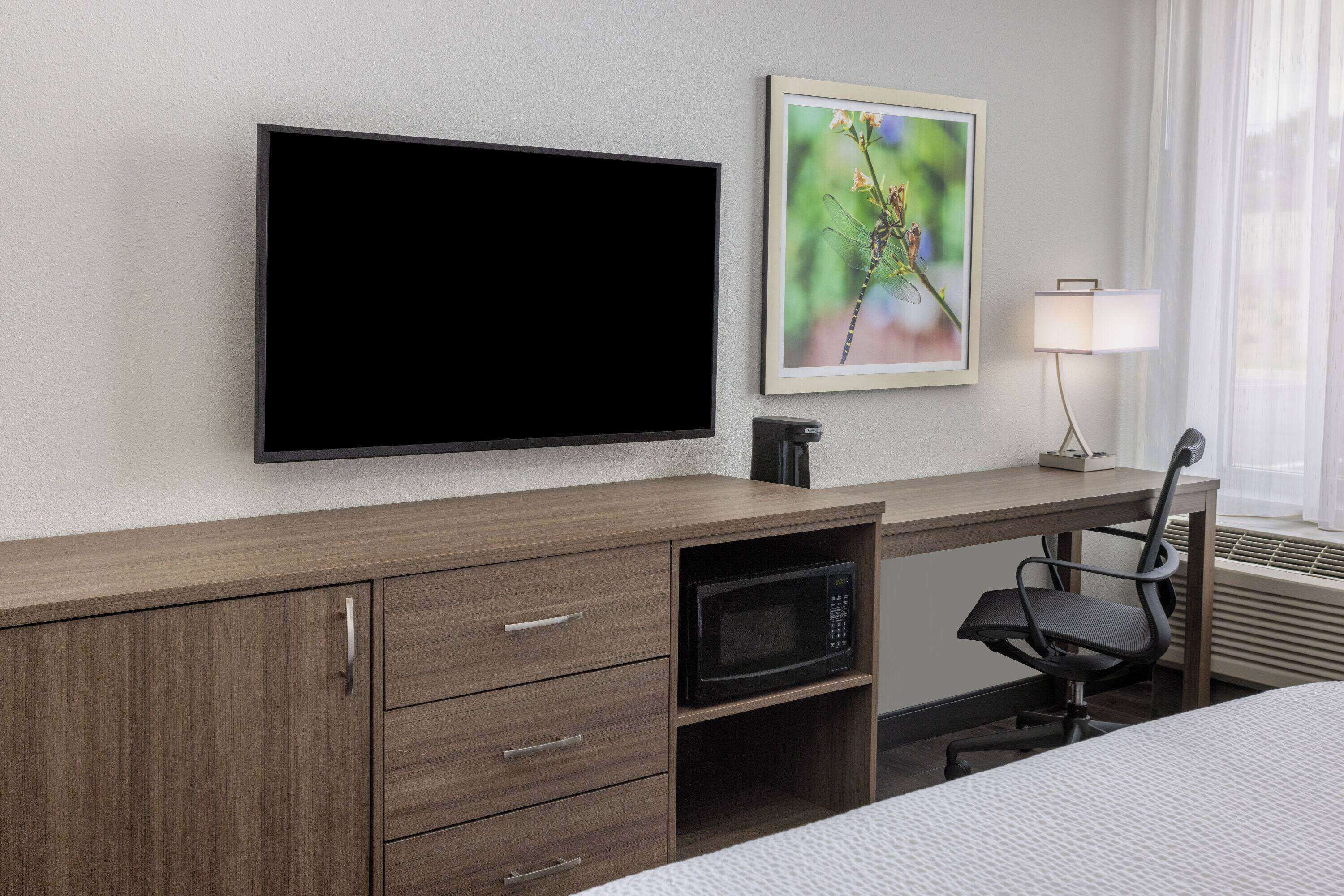 A hotel room with a flat-screen TV mounted on the wall, a framed picture of a dragonfly, a desk with a chair, a microwave, and a lamp.