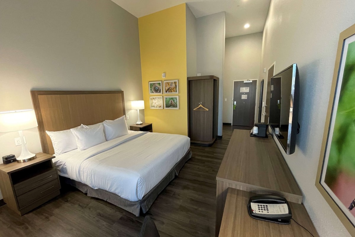 Een hotelkamer met een bed, nachtkastjes, een bureau, een telefoon en een kledingkast.