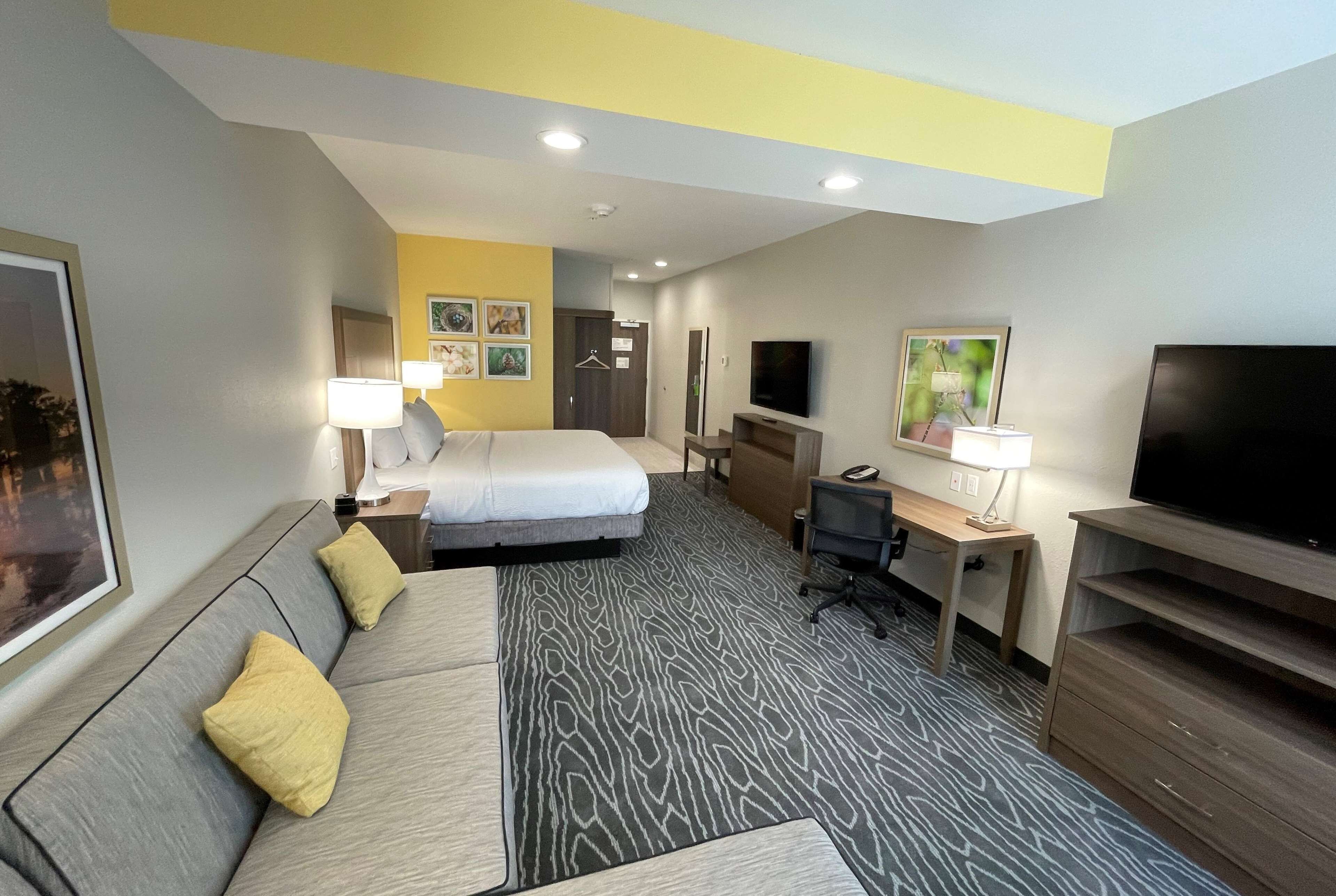 A hotel room with a bed, a sofa, a desk, a TV, and a desk lamp.