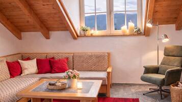 Télévision, livres, médiathèque, chaîne hi-fi