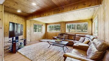 Télévision, cheminée, lecteur de DVD, vidéothÚque