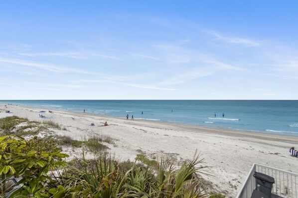 On the beach - 🌊 Gulf & Intracoastal Views from Your Private Wraparound Balcony - Indian Rocks Beach (Indian Rocks Beach)