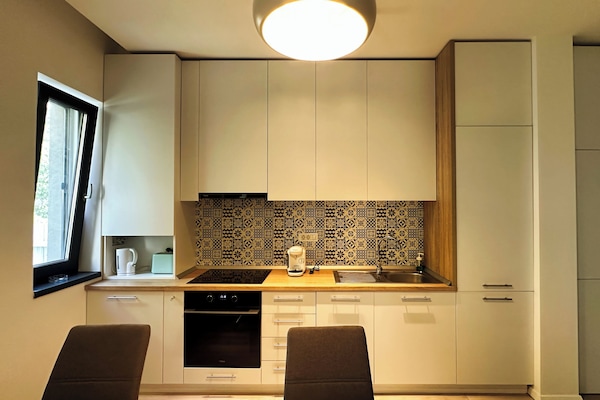 City Apartment, 1 King Bed with Sofa bed | Private kitchen | Full-size fridge, oven, stovetop, dishwasher