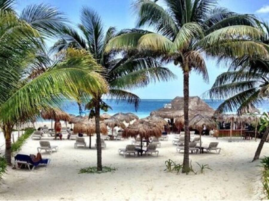 Playa privada en los alrededores, bar en la playa