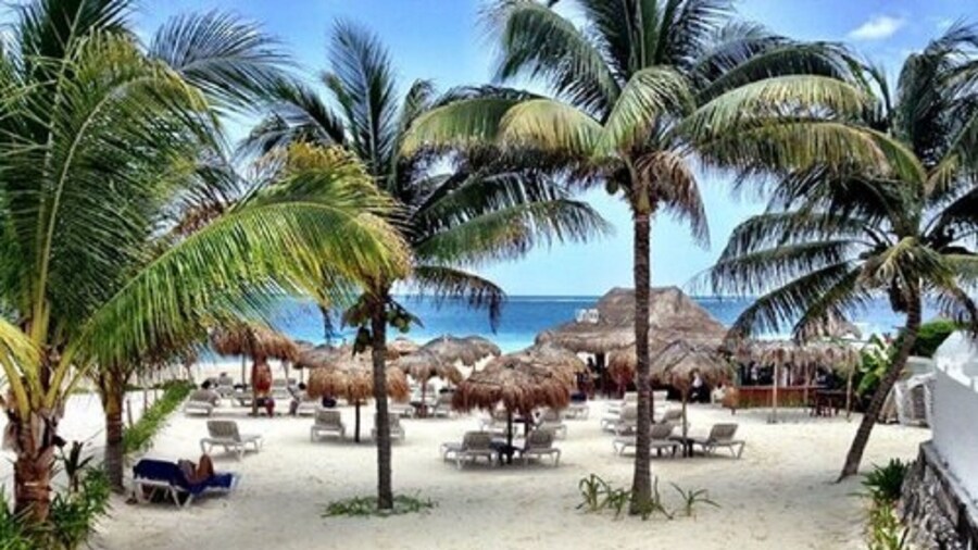 BALAM Playa - 15 Th. Ave