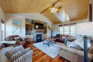 TV, fireplace, books