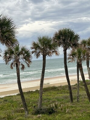 A beach with palm trees and the ocean. - Sea ~ Side ~ Hideaway ~ Studio Condo ~ near the Beach ~ (Daytona Beach)