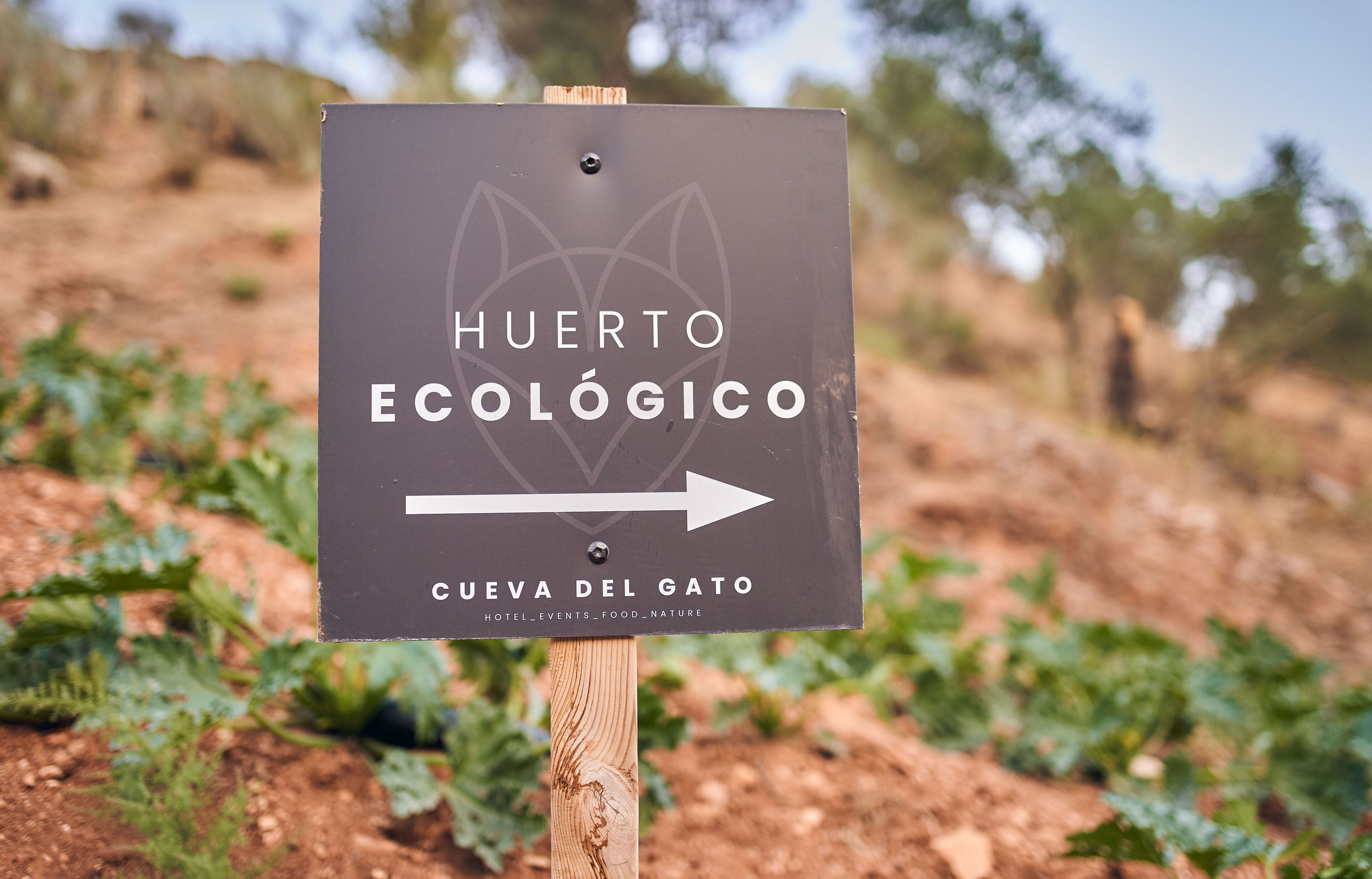 Photo - Eco Hotel Cueva del Gato