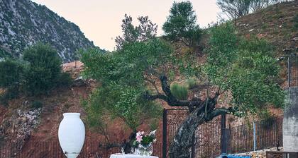 ECO HOTEL CUEVA DEL GATO