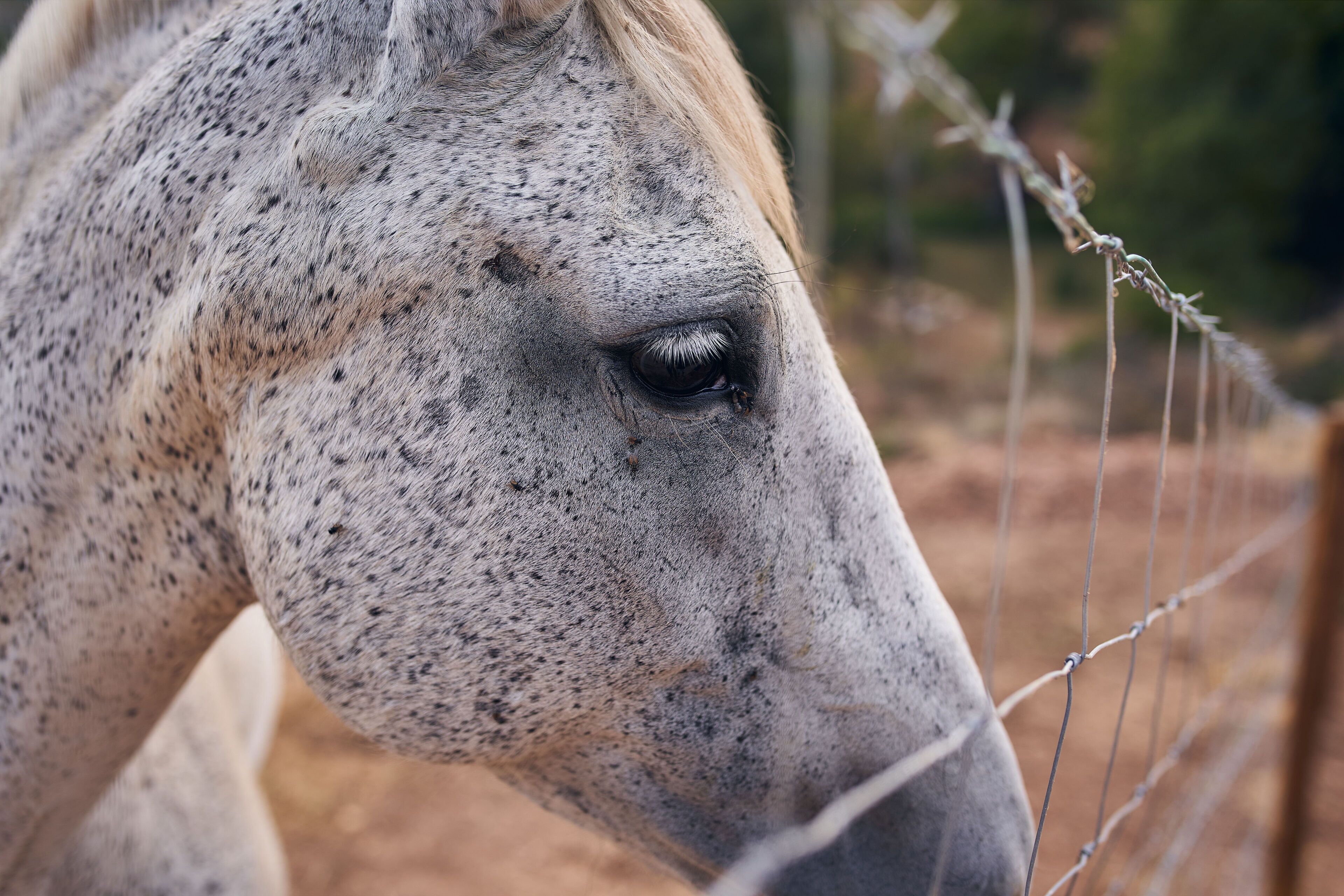 Photo - Eco Hotel Cueva del Gato