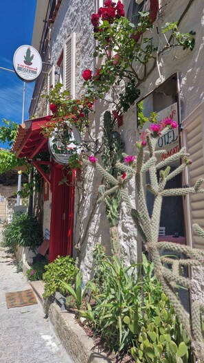 Un bâtiment avec une porte rouge, une enseigne indiquant « KAKTUSHAN OEL » et un cactus devant l’entrée.