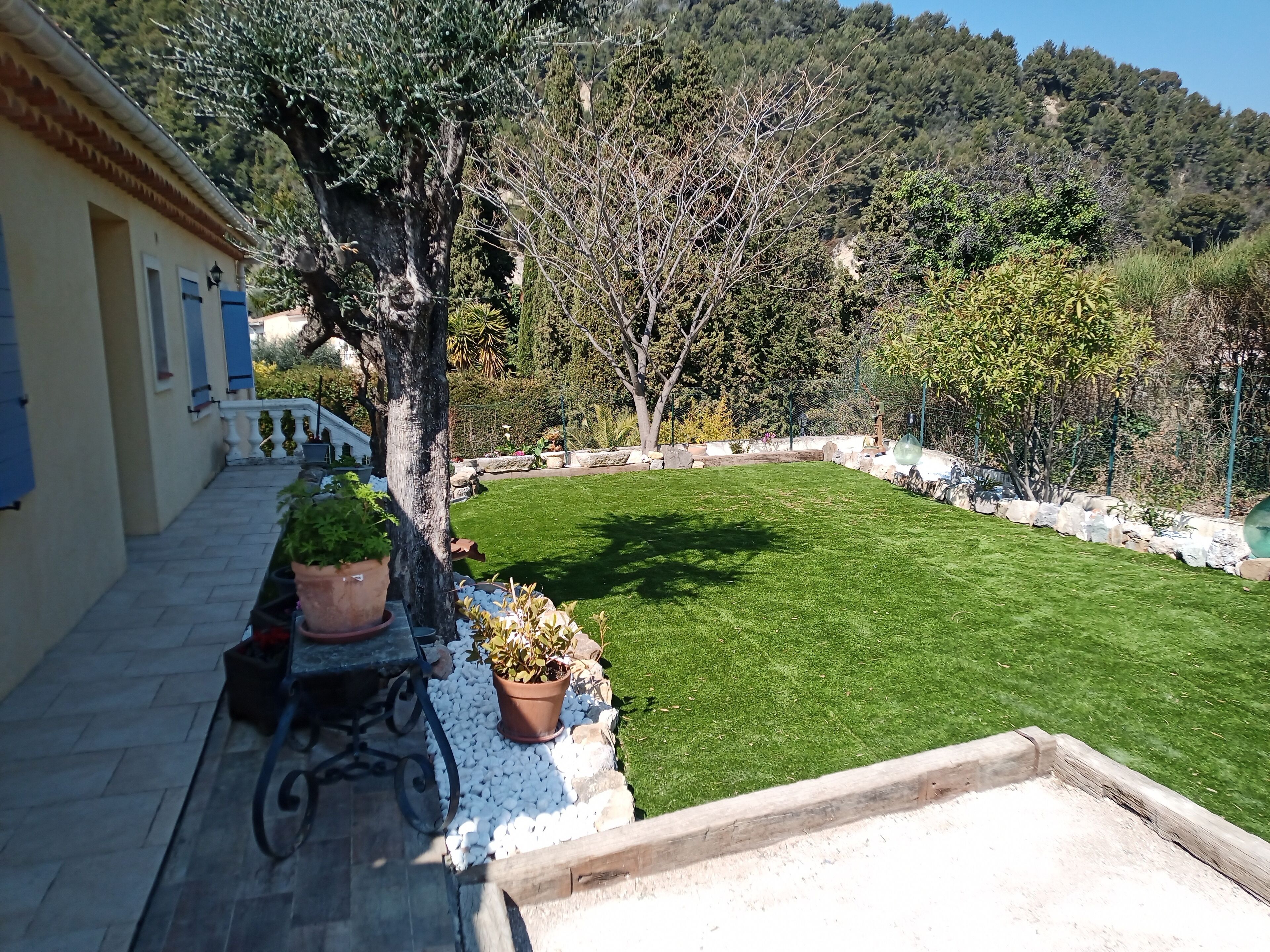 A courtyard with a well-maintained lawn, a tree, and a building with blue shutters.