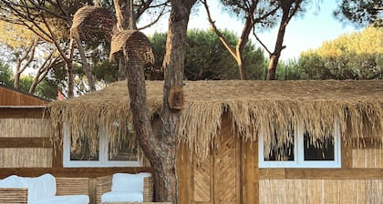 Magical Beachfront Home in Forest reserve