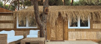 Magical Beachfront Home in Forest reserve