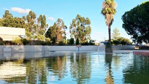 A swimming pool with a water feature, surrounded by trees and a building. - Hotel Campo do Rosmaninho (Castelo Branco)