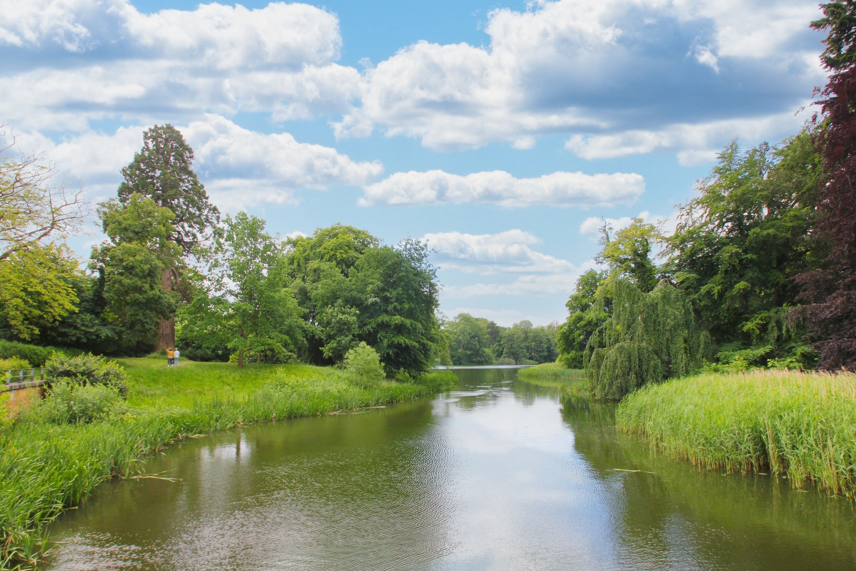 A river with a bridge, surrounded by lush greenery and trees.