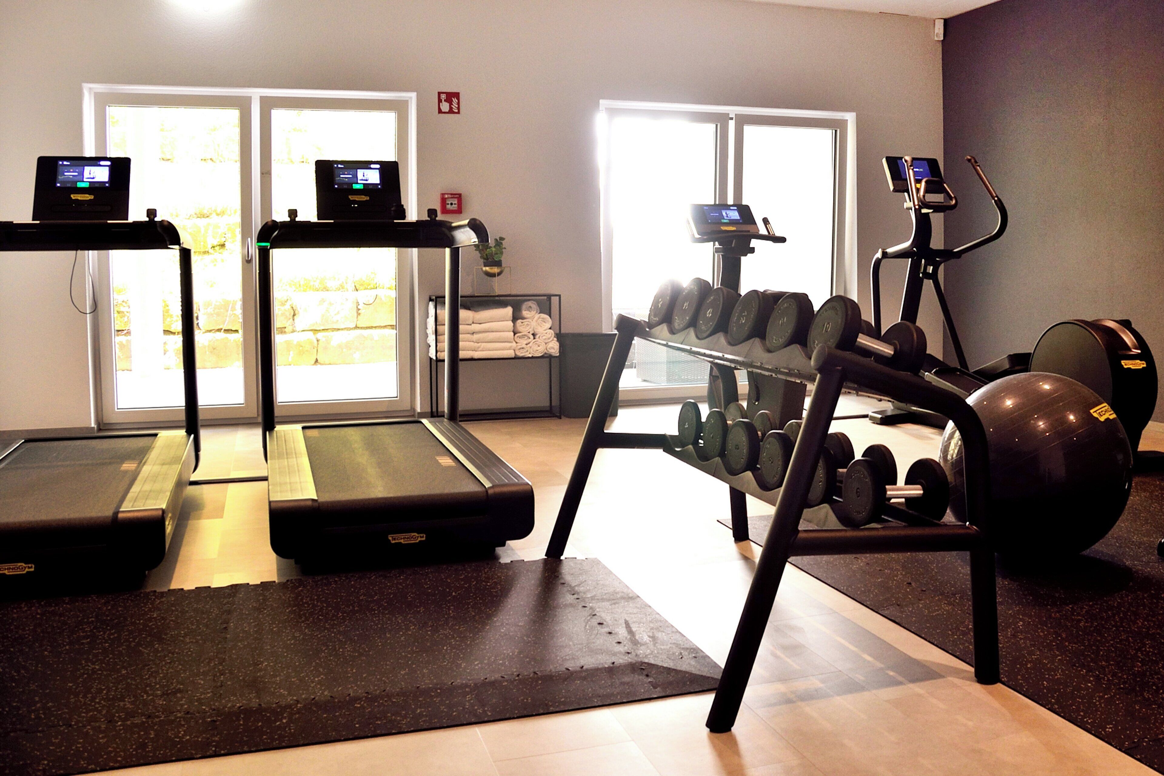 A gym with treadmills, a weight bench, dumbbells, and a stationary bike.
