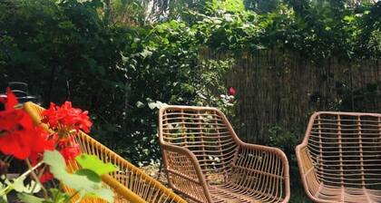 Maison familiale avec Jardin - Lille Centre