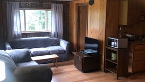 A cozy living room with a sofa, a coffee table, a TV on a stand, and a kitchen area with a microwave.