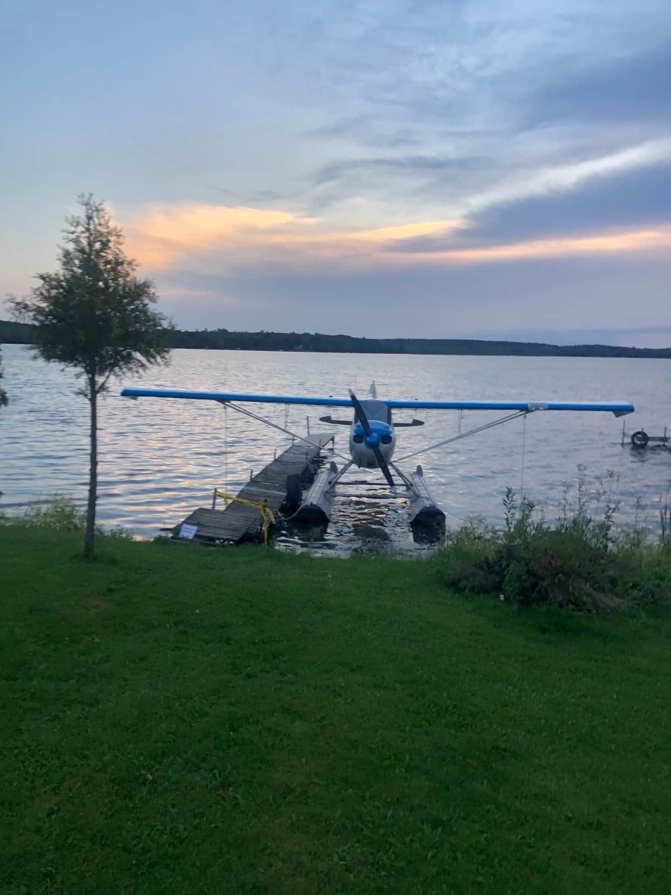 A seaplane parked on a wooden dock by a lake with a tree nearby.