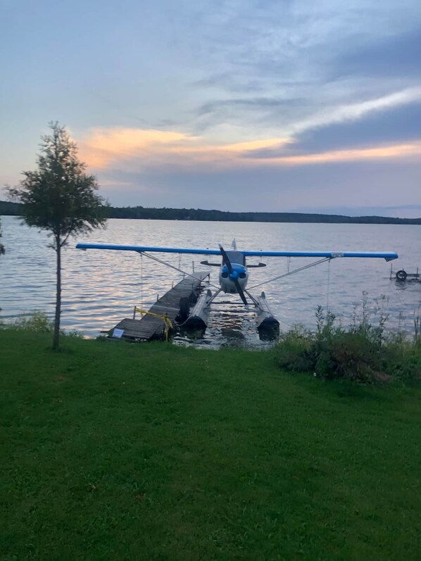 Un hidroavión estacionado en un muelle de madera junto a un lago, con un árbol cercano.