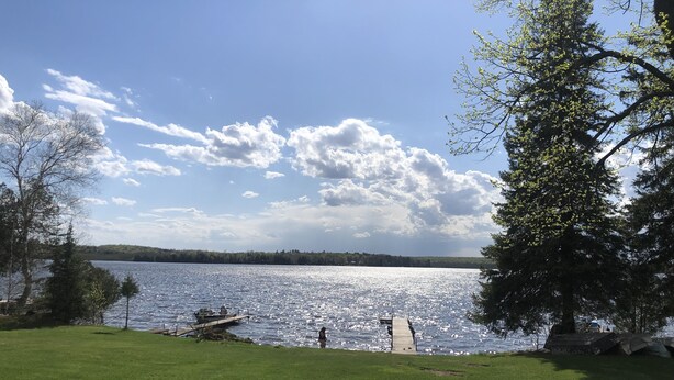 A grassy area with a wooden picnic table and a dock extending into a lake.