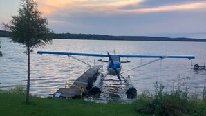 Un hidroavión estacionado en un muelle de madera junto a un lago, con un árbol cercano.