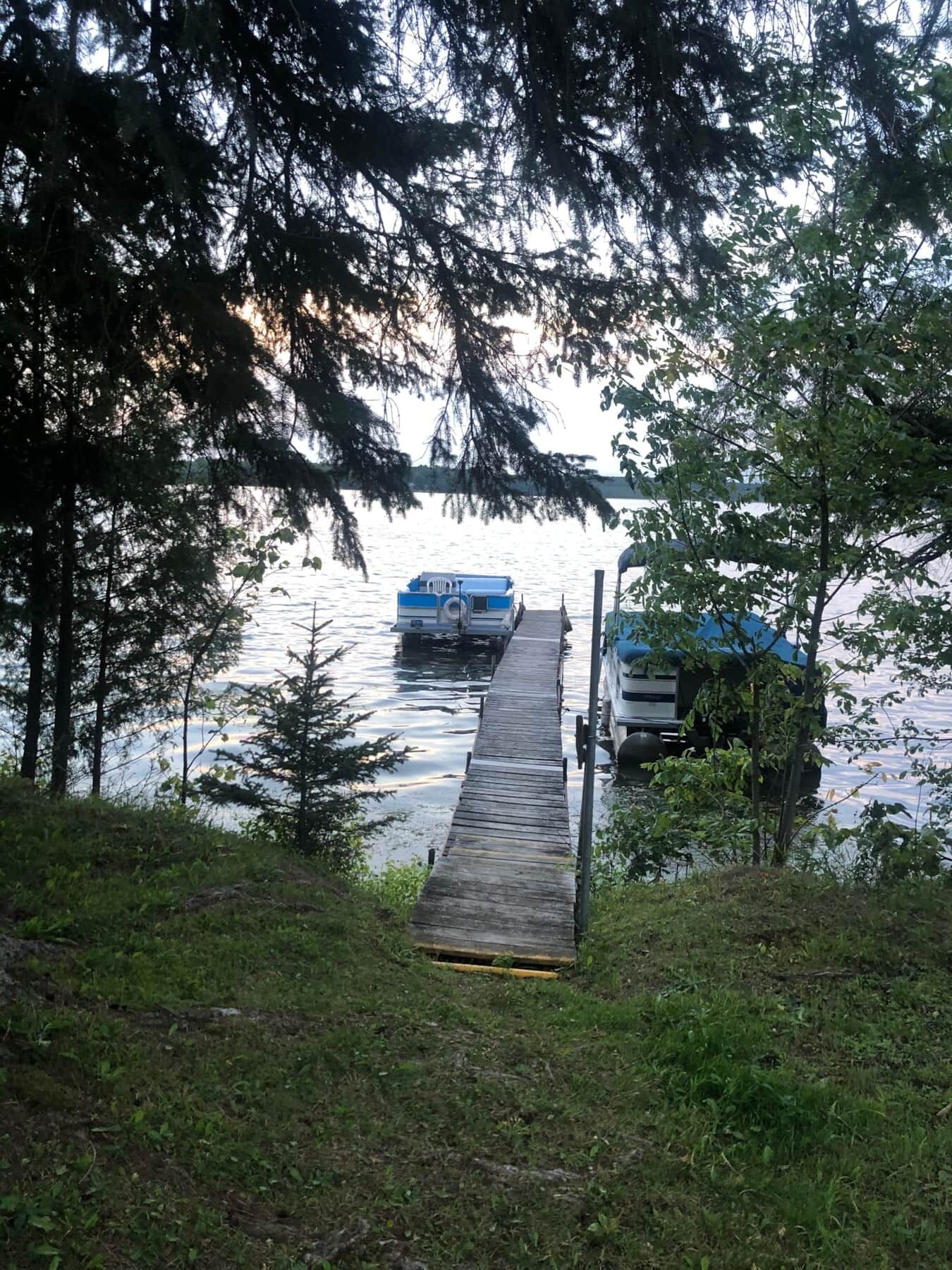 A dock leading to a boat on a calm body of water, surrounded by trees.