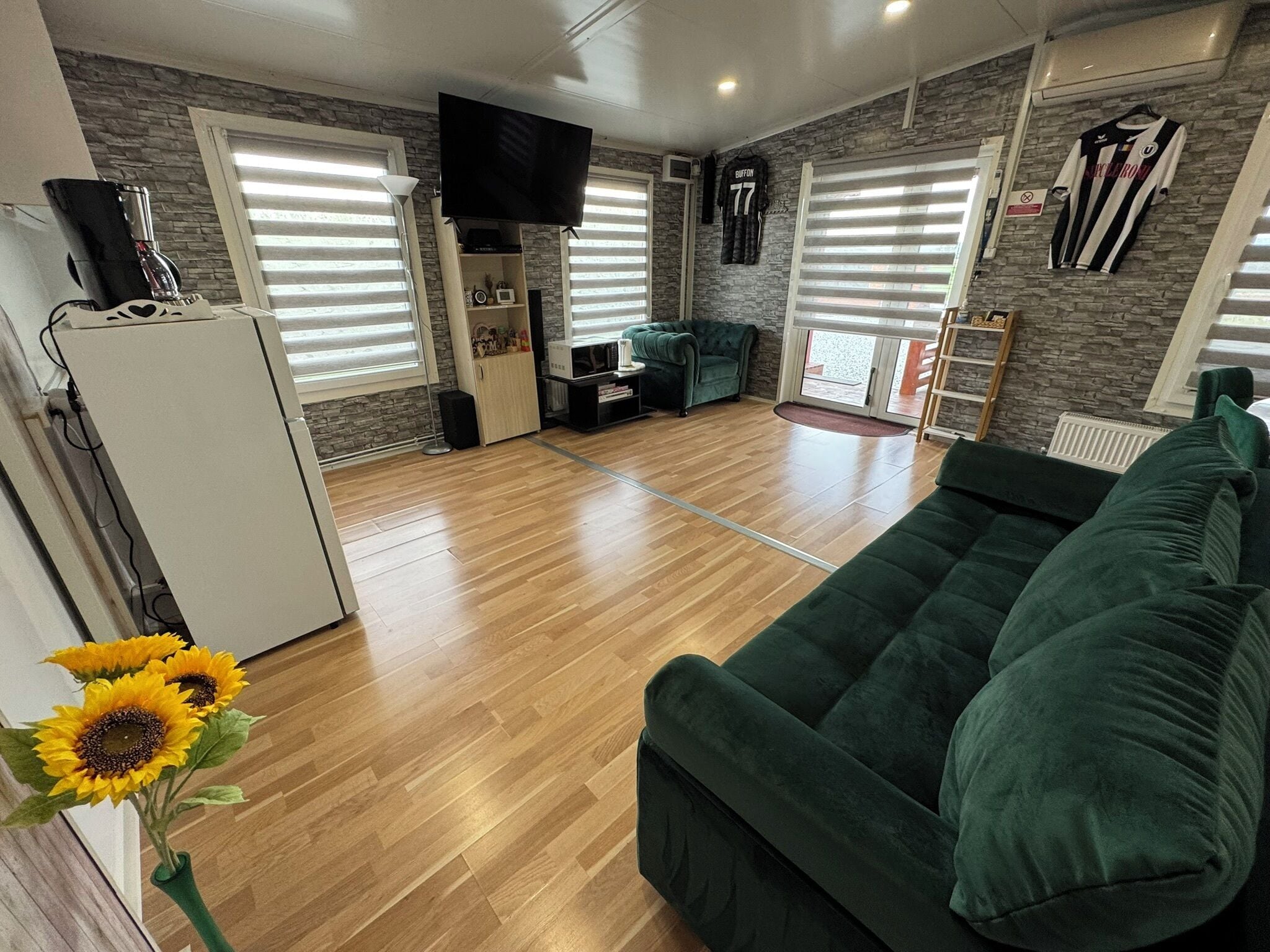 Televisor intel·ligent, llar de foc, reproductor de DVD i llibres 