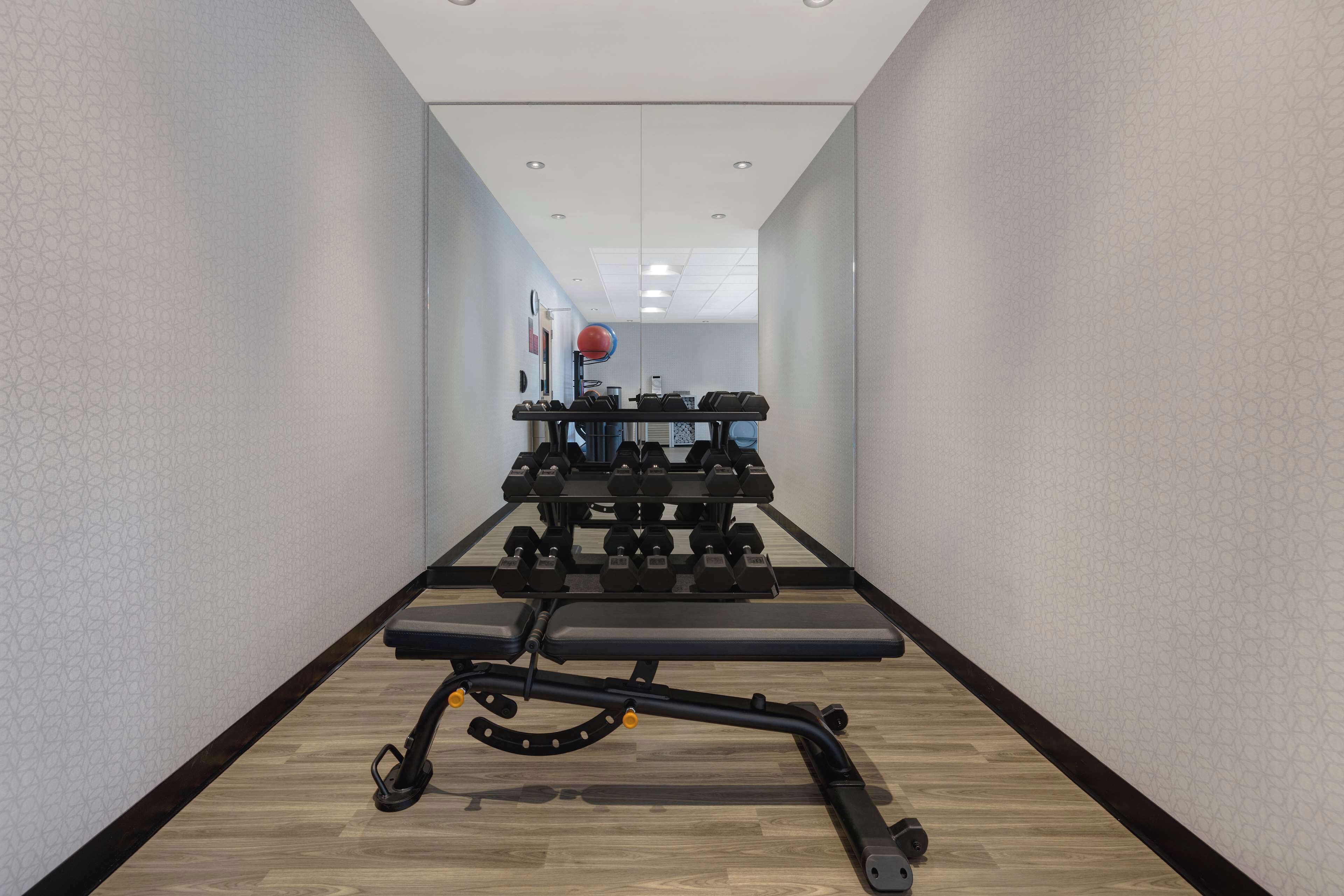 A gym with a bench, dumbbells, and a medicine ball.
