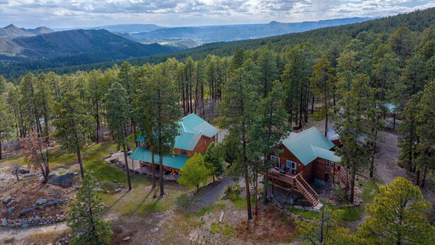 A cabin with a green roof, surrounded by dense forest, with a view of distant mountains.