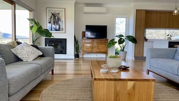 Smart TV, fireplace, books