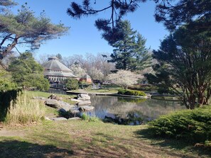 A serene park with a pond, a gazebo, and a building with a dome roof.