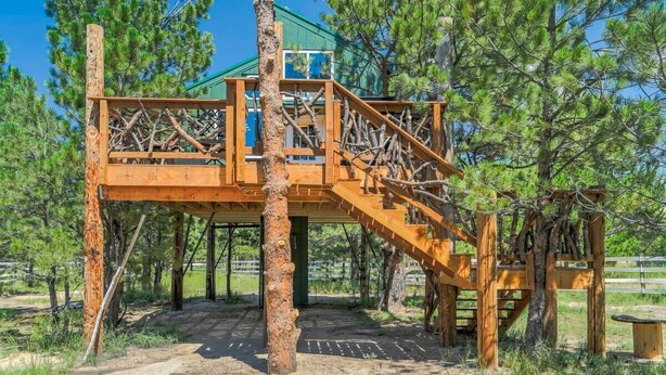 Property grounds - Mountainside Tree House Retreat (Larkspur)