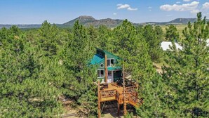 A treehouse with a blue roof, surrounded by dense pine trees, and a mountain in the background.