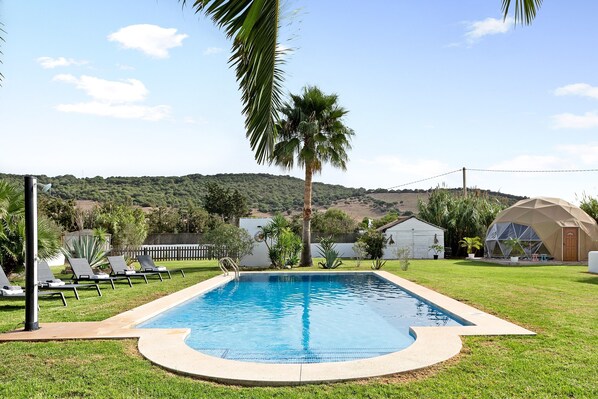 A swimming pool with lounge chairs, a palm tree, and a dome structure.