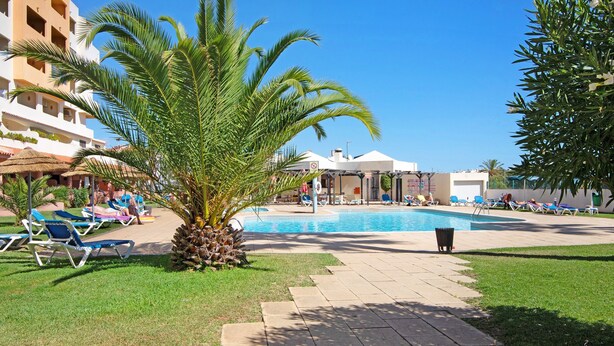 Area piscina con sedie a sdraio, una palma e un edificio sullo sfondo.
