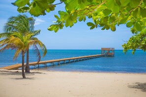 A beach with a wooden pier extending into the ocean, a palm tree, and clear blue water.