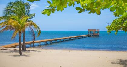 Lawson Rock - Yellowfish 211 2 Bedroom Condo by Redawning