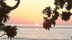 A sunset over the ocean framed by tree branches. - Yuca-Spa  Studio de charme & spa-jacuzzi (Saint Paul)