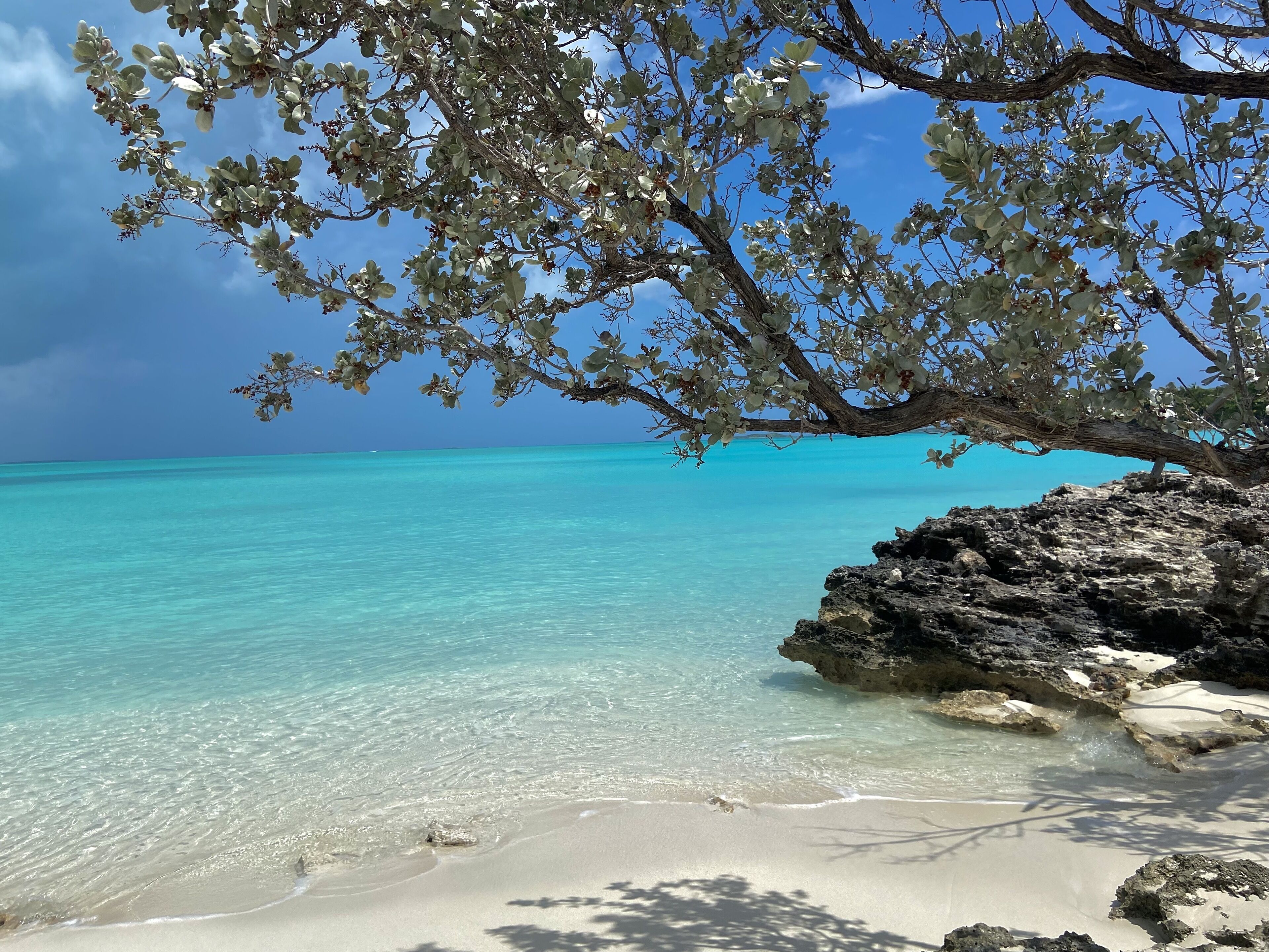 Plage à proximité, serviettes de plage