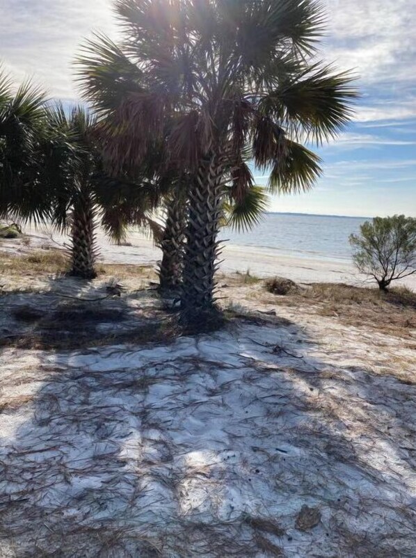 Liegestühle, Strandtücher