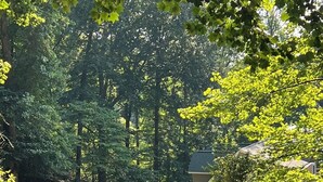 A paved area with trees and a building in the background. - NEW!Lakefront retreat with huge dock, private cove. Perfect for Clemson Football (Central)