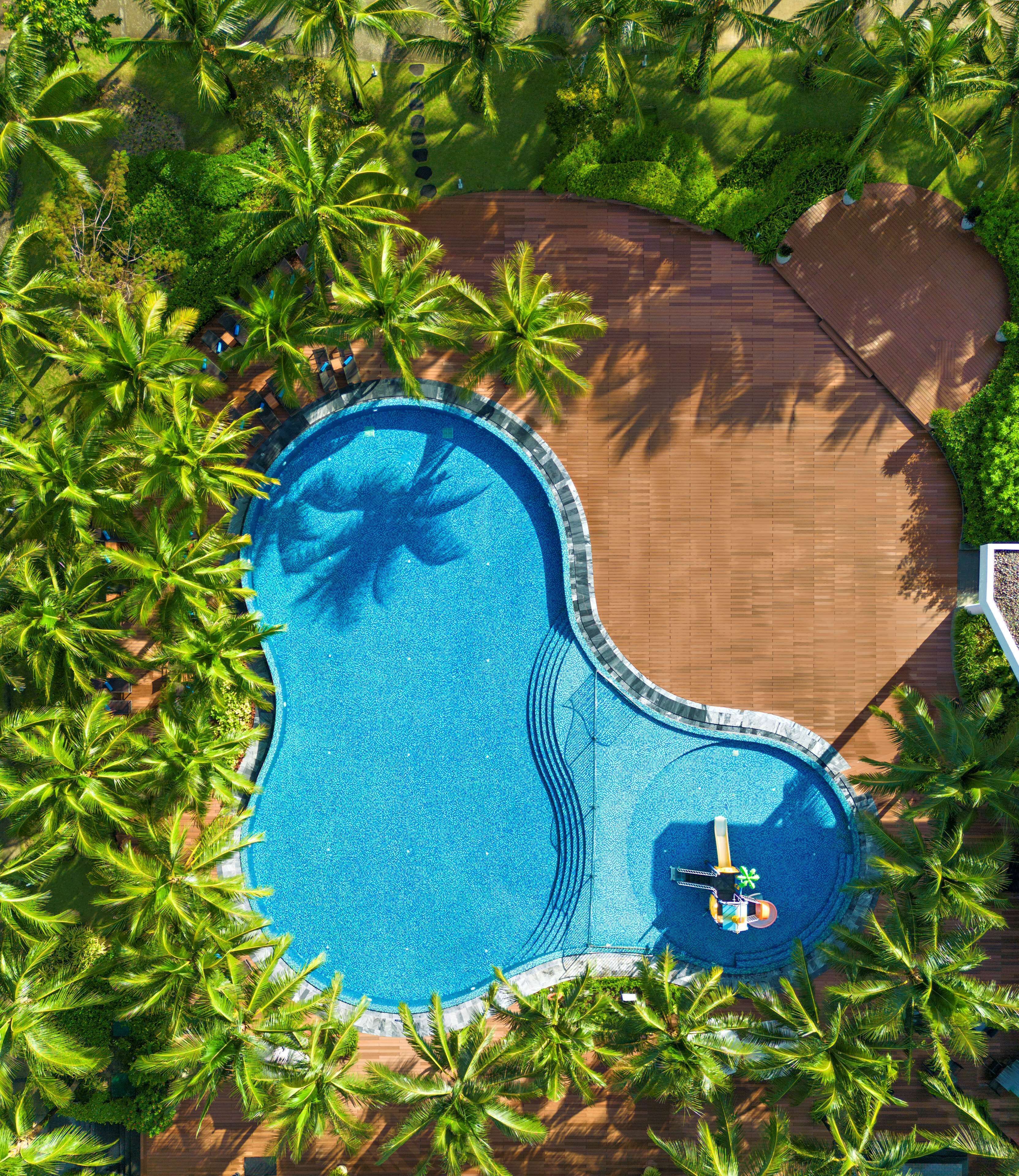 An aerial view of a swimming pool surrounded by palm trees, with a wooden deck and a small boat.